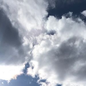 Meet your Posher, Summer